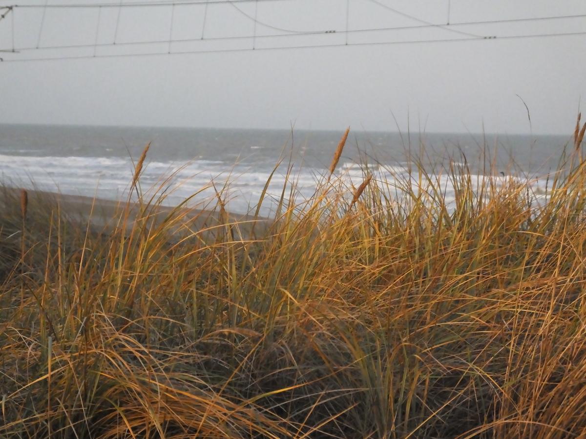 Sable D'o -vlak Aan De Zee- 5* Ostende
